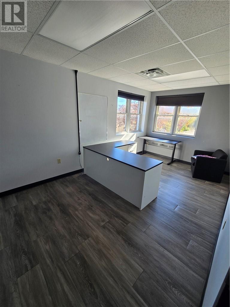 336 Pine Street, Sudbury, Ontario  P3C 1X8 - Photo 20 - 2125489