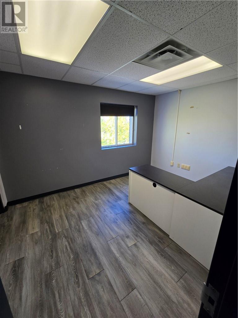 336 Pine Street, Sudbury, Ontario  P3C 1X8 - Photo 21 - 2125489