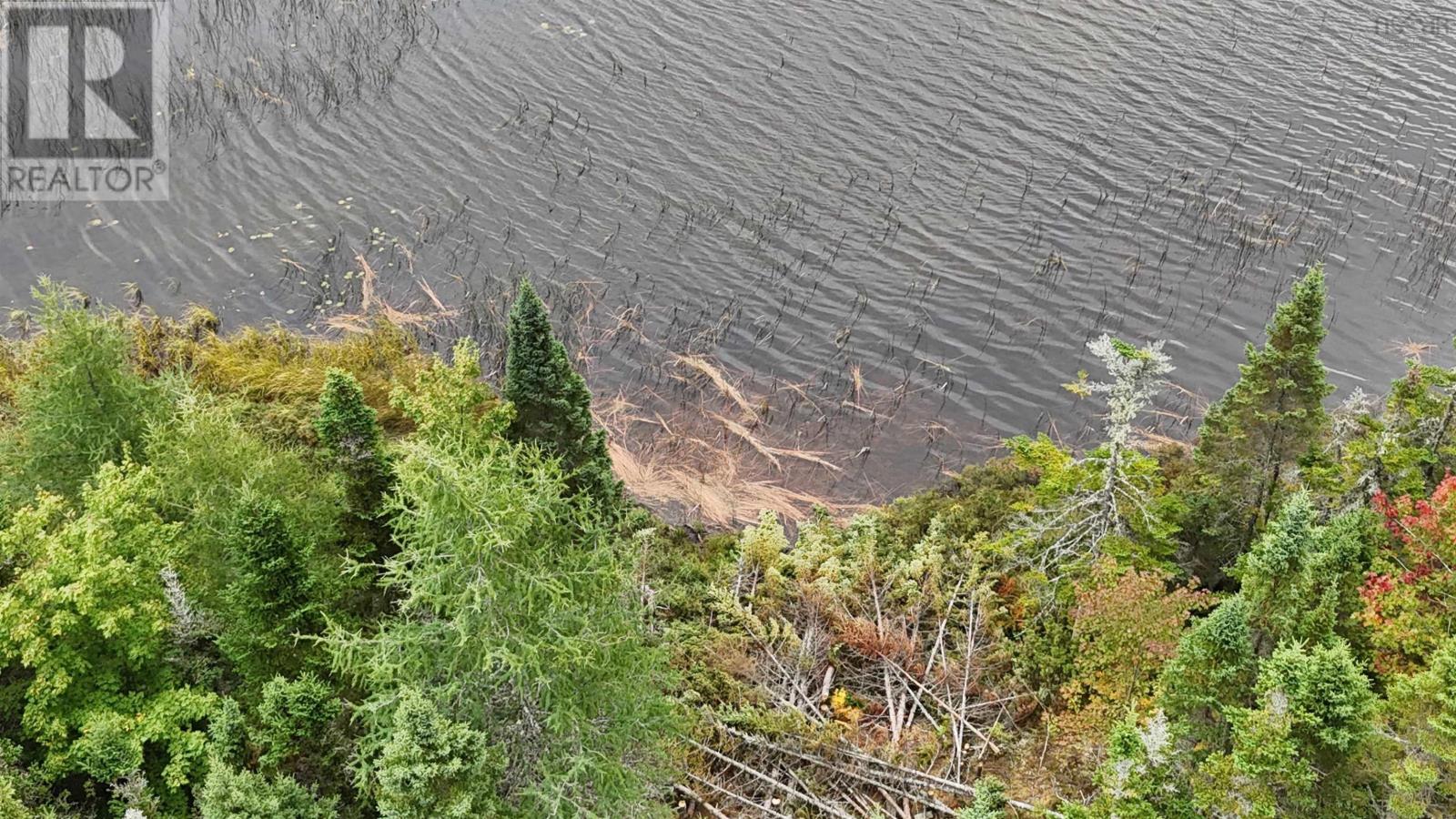 165 Holgers Lane, Cleveland, Nova Scotia  B0E 1J0 - Photo 36 - 202524796