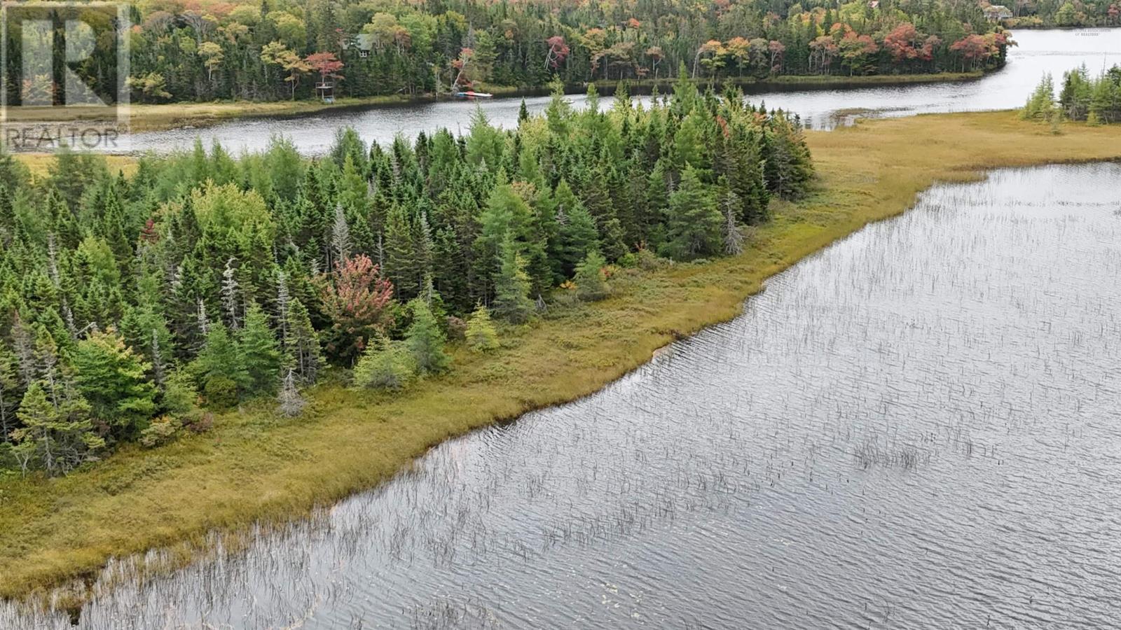 165 Holgers Lane, Cleveland, Nova Scotia  B0E 1J0 - Photo 5 - 202524796