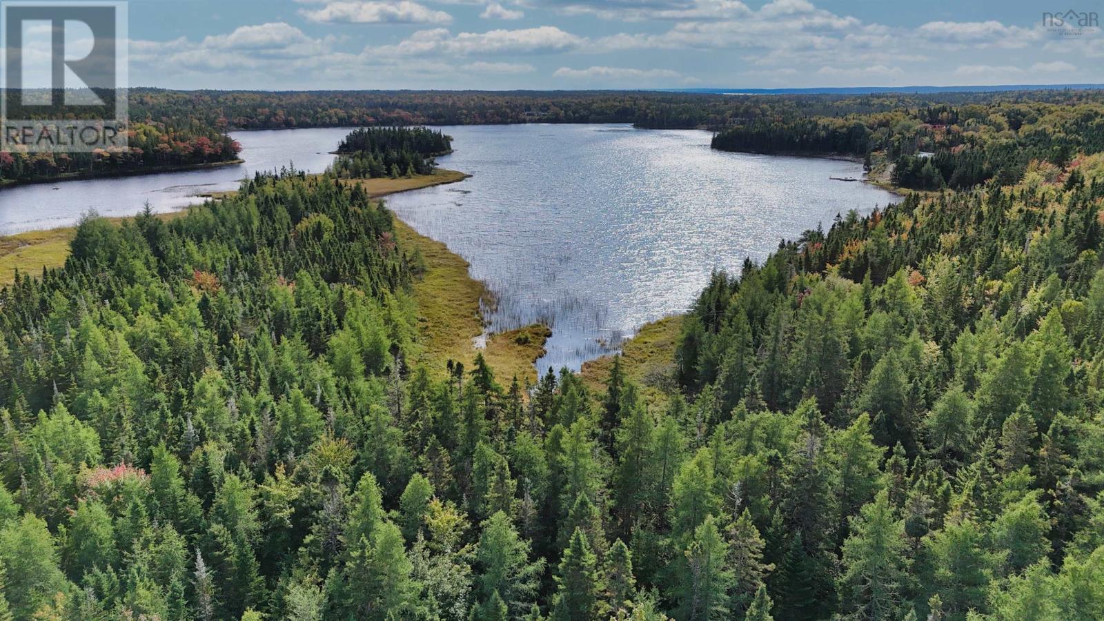 165 Holgers Lane, Cleveland, Nova Scotia  B0E 1J0 - Photo 4 - 202524796