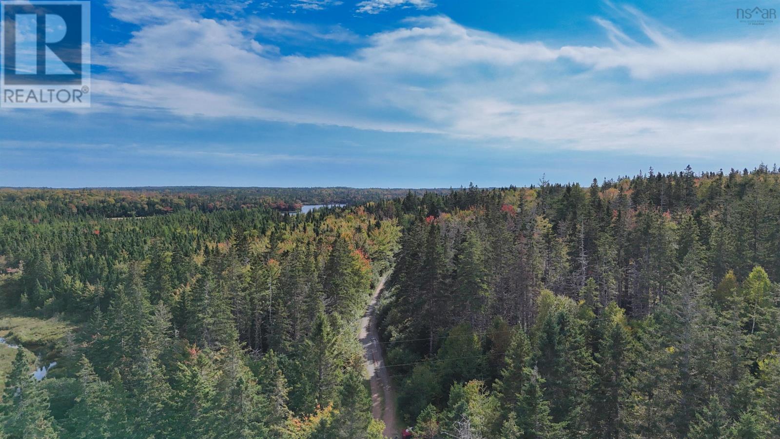 165 Holgers Lane, Cleveland, Nova Scotia  B0E 1J0 - Photo 37 - 202524796