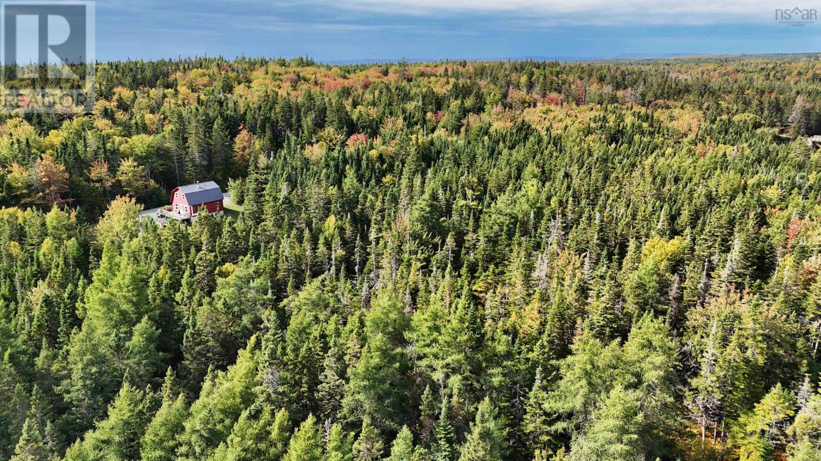 165 Holgers Lane, Cleveland, Nova Scotia  B0E 1J0 - Photo 41 - 202524796