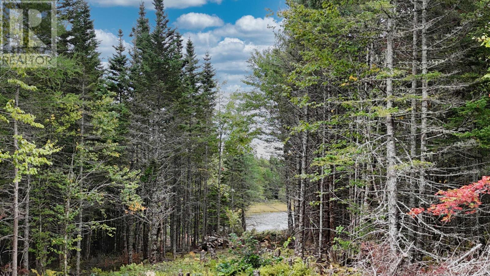 165 Holgers Lane, Cleveland, Nova Scotia  B0E 1J0 - Photo 31 - 202524796