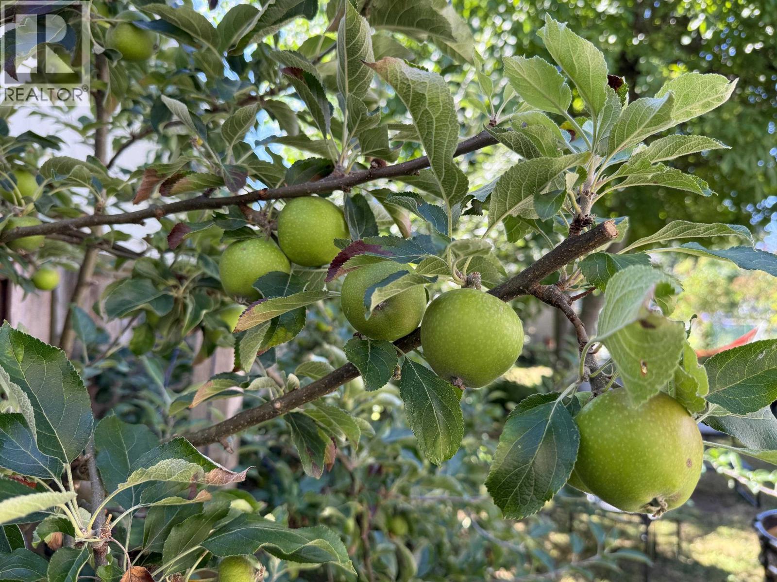 1688 E 29th Avenue, Vancouver, British Columbia V5N 2Y6 - Photo 25 - R3064579