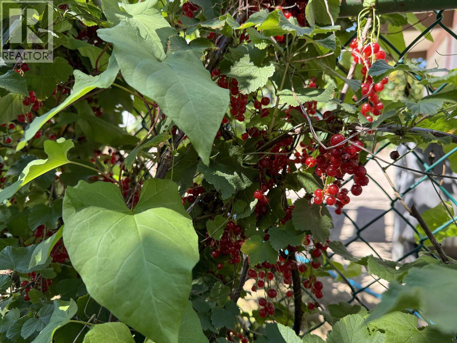 1688 E 29th Avenue, Vancouver, British Columbia V5N 2Y6 - Photo 26 - R3064579