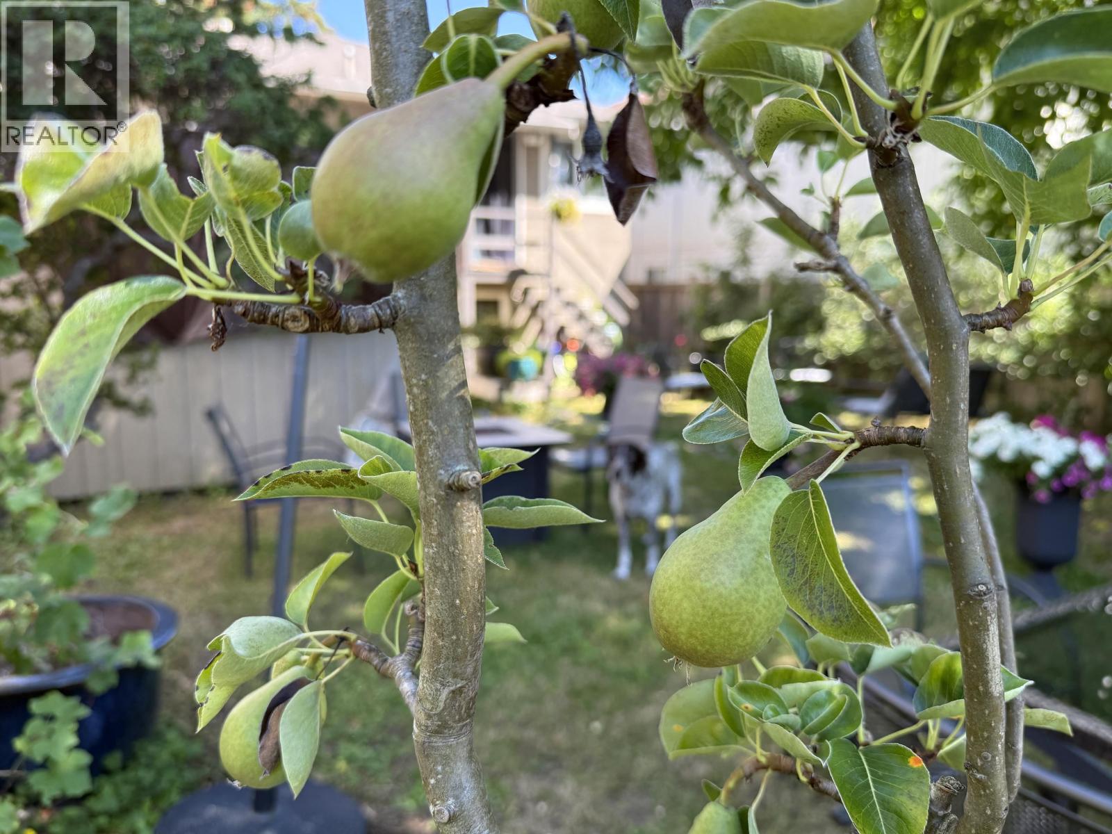 1688 E 29th Avenue, Vancouver, British Columbia V5N 2Y6 - Photo 27 - R3064579