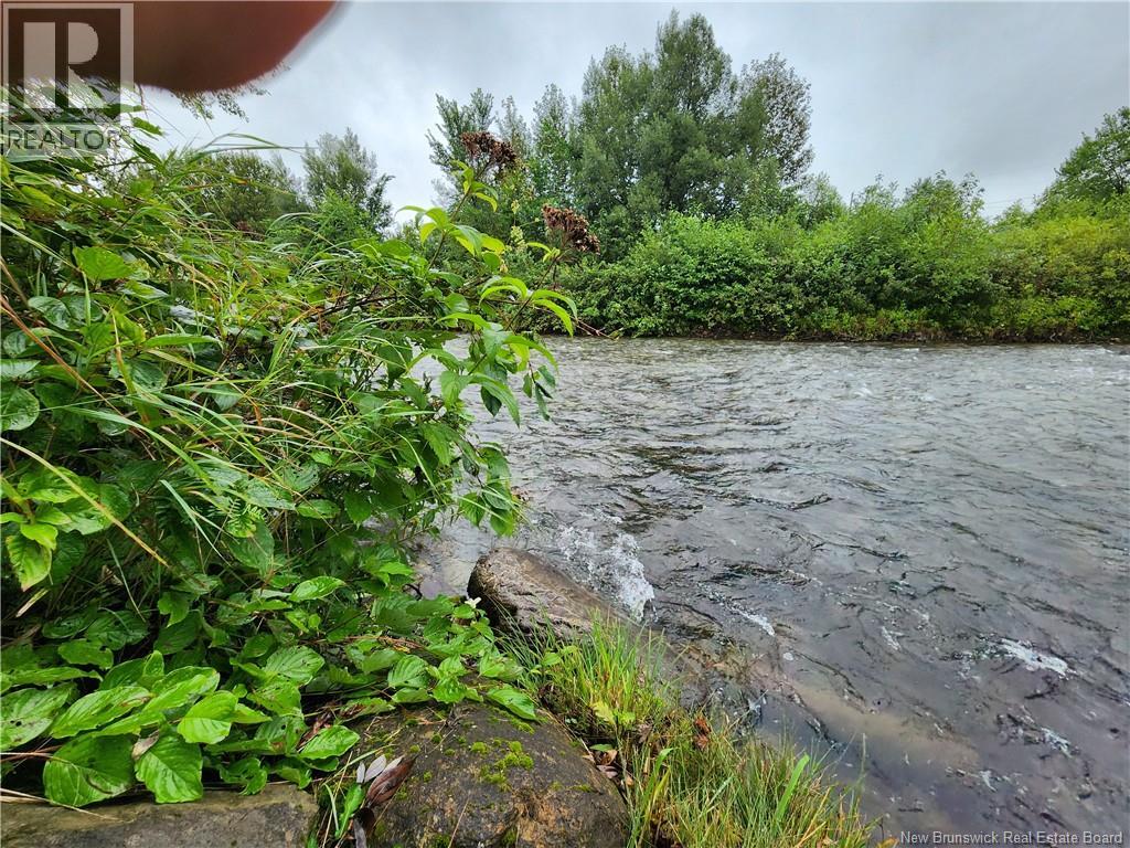 51 Ouellette Lane, New Denmark, New Brunswick  E7G 2M3 - Photo 28 - NB129661