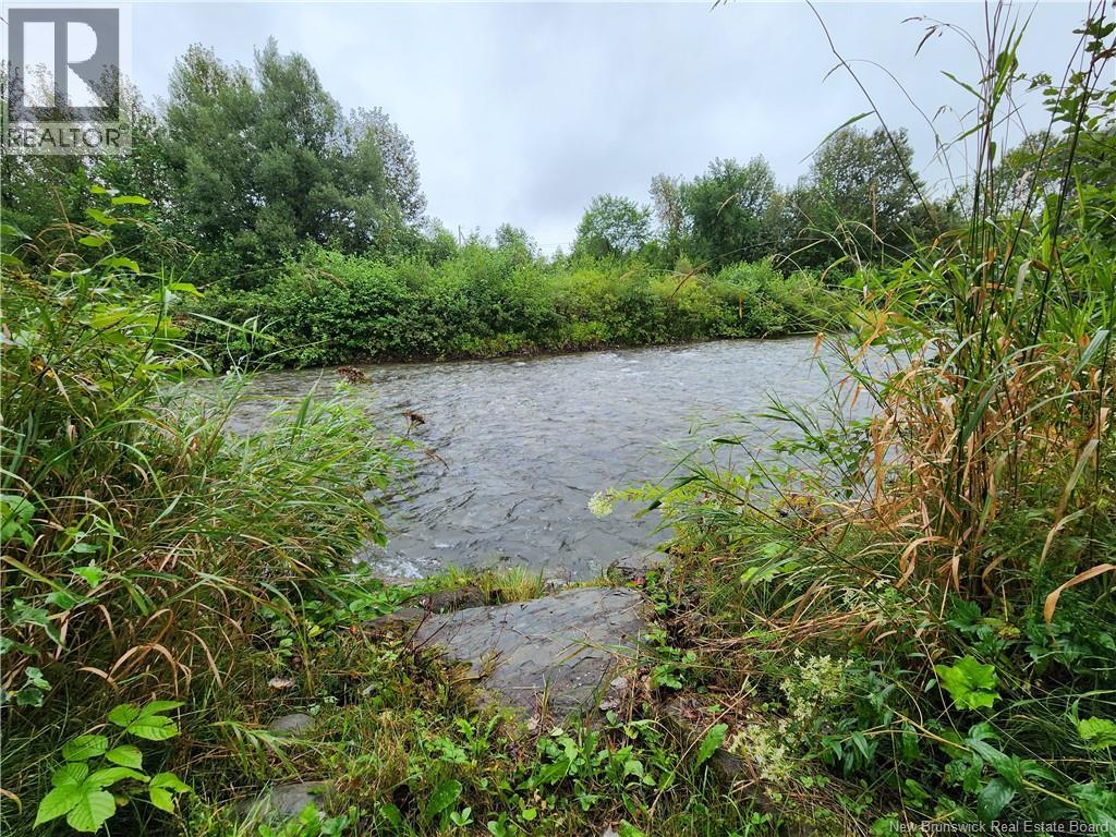 51 Ouellette Lane, New Denmark, New Brunswick  E7G 2M3 - Photo 29 - NB129661