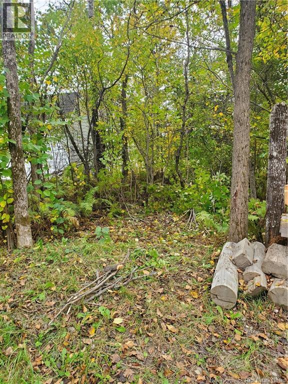 51 Ouellette Lane, New Denmark, New Brunswick  E7G 2M3 - Photo 34 - NB129661
