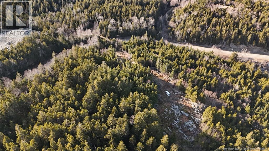 Lot Route 772, Hibernia Cove, New Brunswick  E5V 1L7 - Photo 10 - NB129563