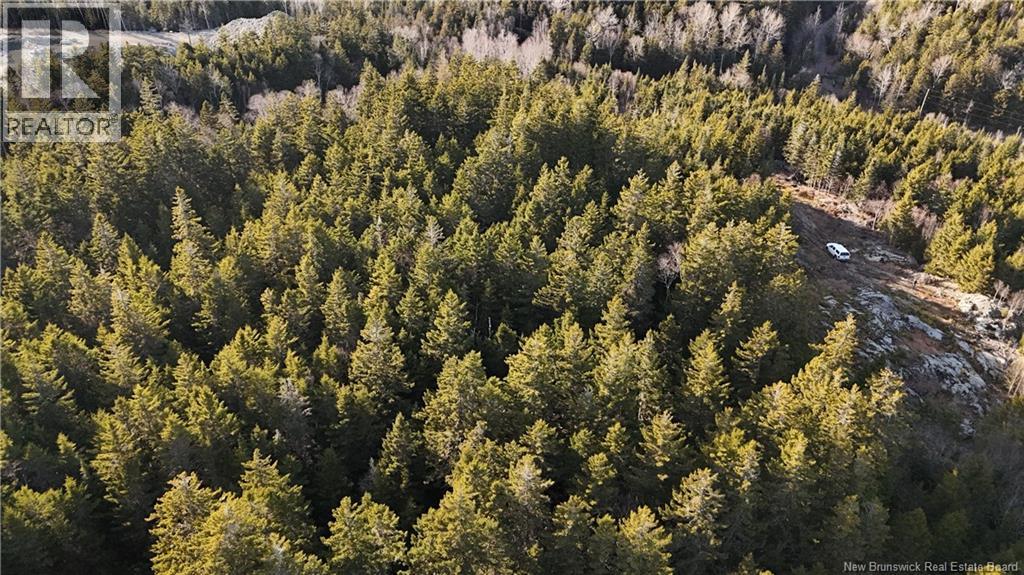 Lot Route 772, Hibernia Cove, New Brunswick  E5V 1L7 - Photo 11 - NB129563