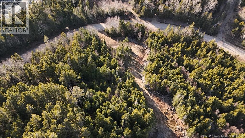 Lot Route 772, Hibernia Cove, New Brunswick  E5V 1L7 - Photo 13 - NB129563