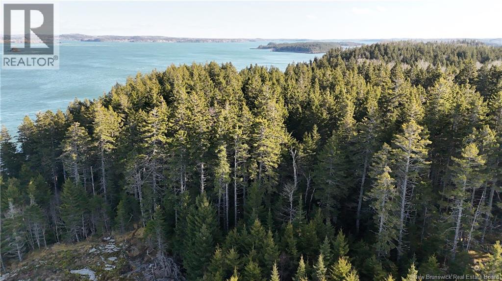 Lot Route 772, Hibernia Cove, New Brunswick  E5V 1L7 - Photo 6 - NB129563