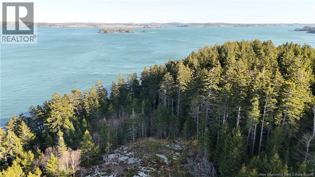 Lot Route 772, Hibernia Cove, New Brunswick  E5V 1L7 - Photo 7 - NB129563