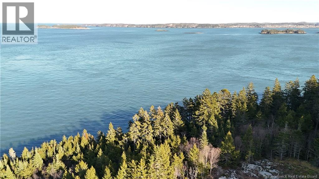 Lot Route 772, Hibernia Cove, New Brunswick  E5V 1L7 - Photo 8 - NB129563