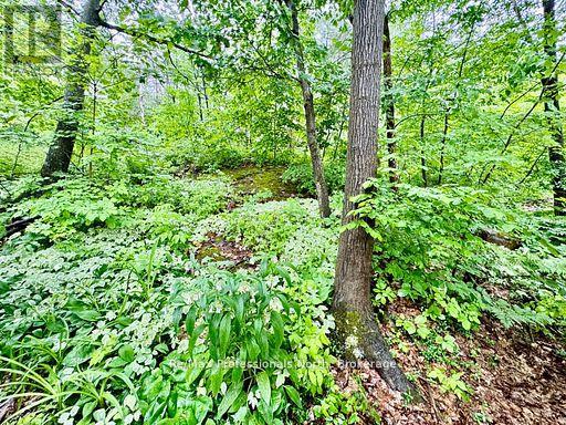 45 - 1007 Racoon Road, Gravenhurst, Ontario P1P 1R1 - Photo 21 - X12508940