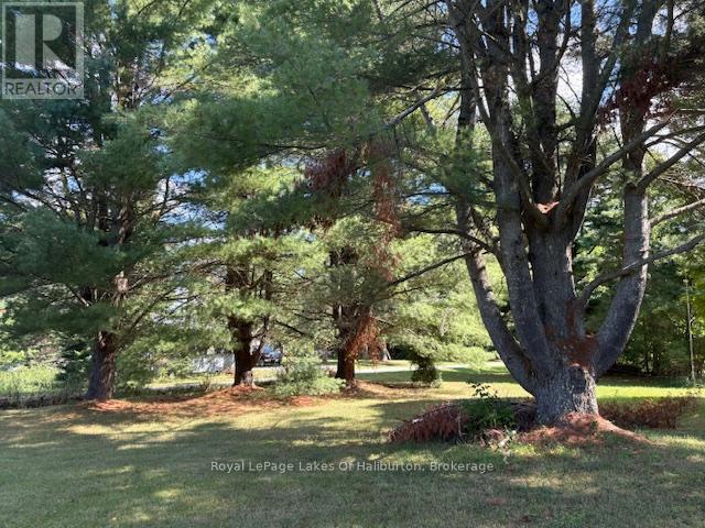 1080 St. Peter's Road, Algonquin Highlands (Stanhope), Ontario  K0M 1S0 - Photo 17 - X12509034