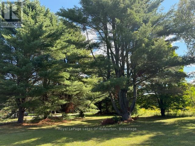 1080 St. Peter's Road, Algonquin Highlands (Stanhope), Ontario  K0M 1S0 - Photo 18 - X12509034