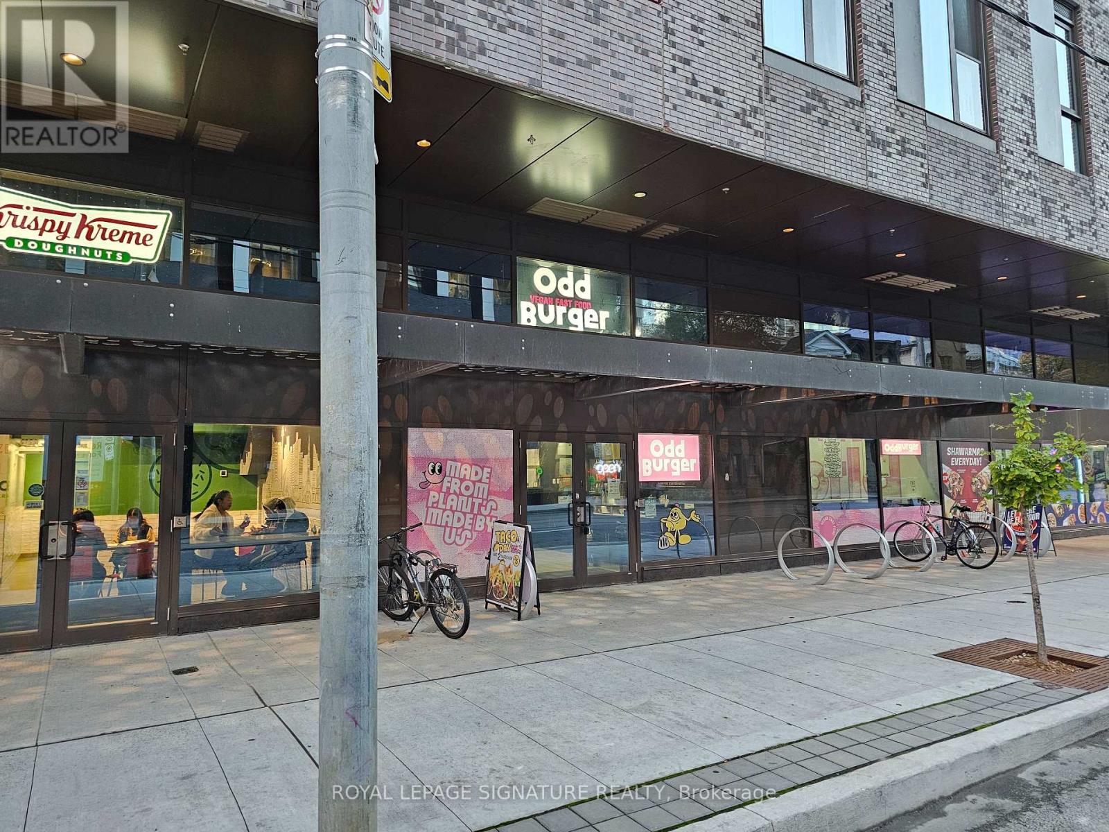 3 - 229 Church Street, Toronto, Ontario  M5B 1Y7 - Photo 17 - C12509012