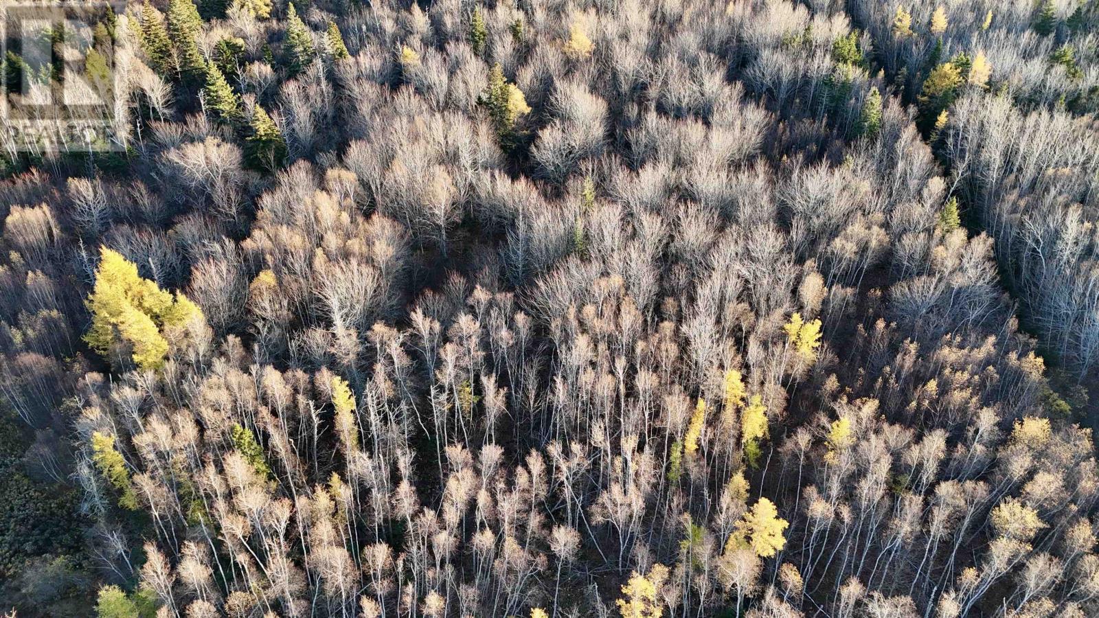 Deblois Road, Rte 157, Deblois, Prince Edward Island  C0B 2B0 - Photo 4 - 202527278