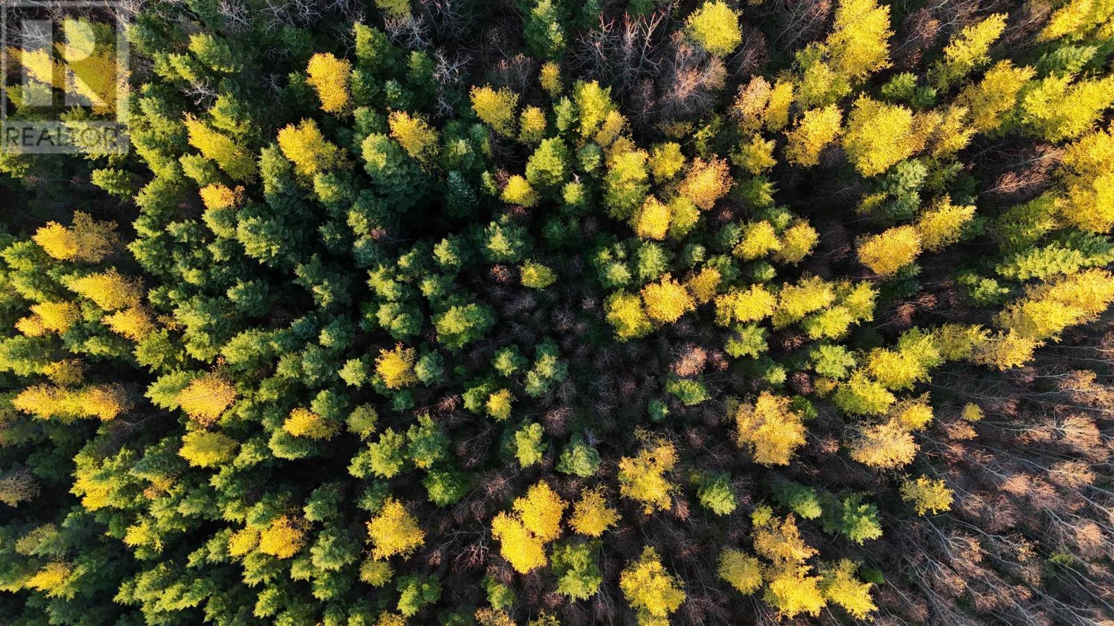 Deblois Road, Rte 157, Deblois, Prince Edward Island  C0B 2B0 - Photo 6 - 202527278