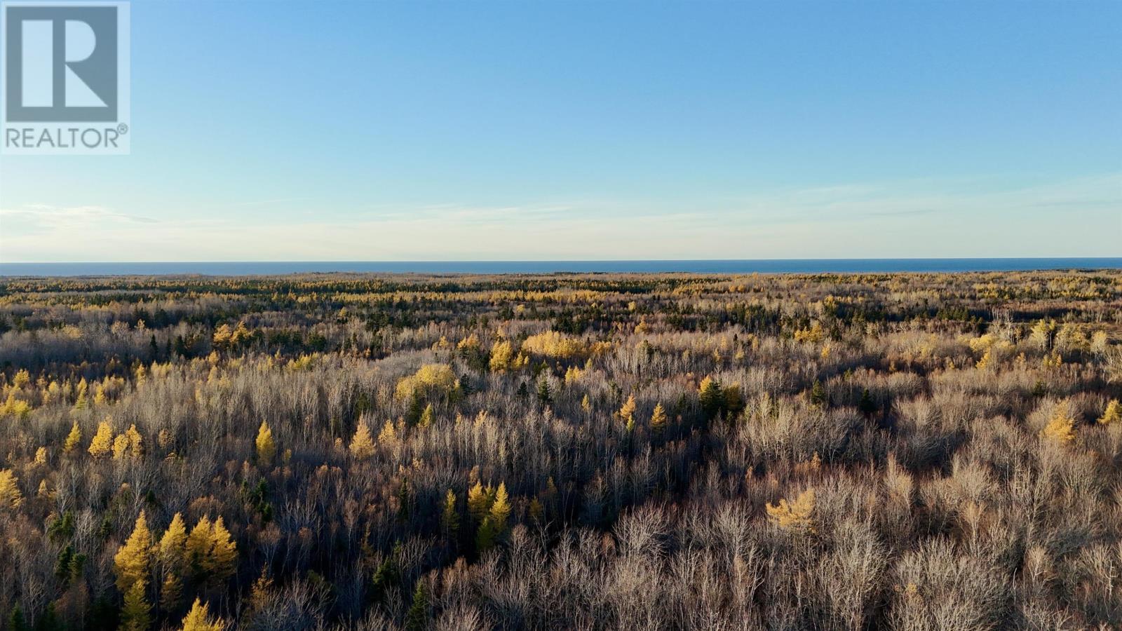 Deblois Road, Rte 157, Deblois, Prince Edward Island  C0B 2B0 - Photo 7 - 202527278