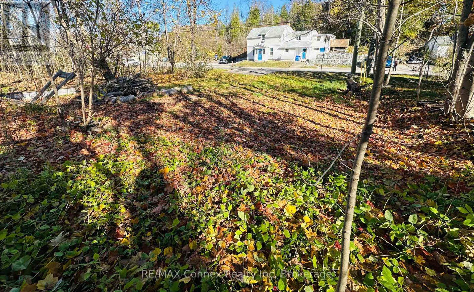 285 Main Street S, Guelph/eramosa, Ontario N0B 2K0 - Photo 3 - X12509150