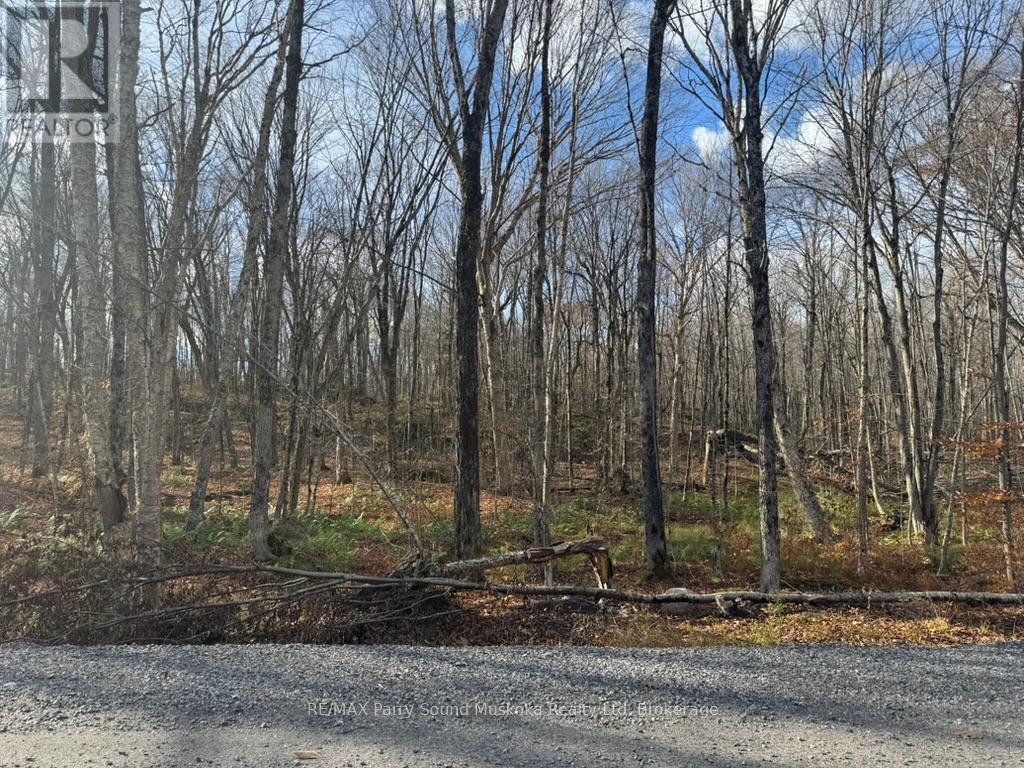 Part 7 Standing People Road, Seguin, Ontario P2A 2W8 - Photo 2 - X12509342