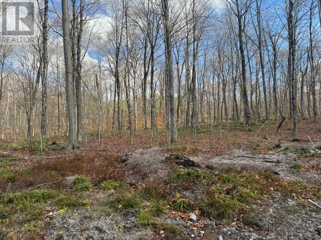 Part 19 Standing People Road, Seguin, Ontario P2A 2W8 - Photo 2 - X12509364