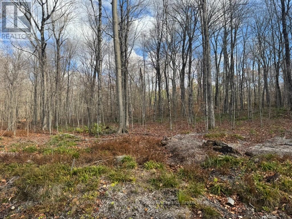 Part 19 Standing People Road, Seguin, Ontario P2A 2W8 - Photo 3 - X12509364