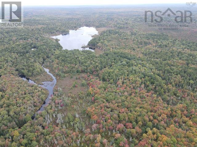 Vacant Land Canada Hill Road, Canada Hill, Nova Scotia  B0T 1L0 - Photo 11 - 202507306