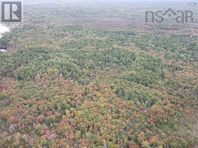 Vacant Land Canada Hill Road, Canada Hill, Nova Scotia  B0T 1L0 - Photo 10 - 202507306