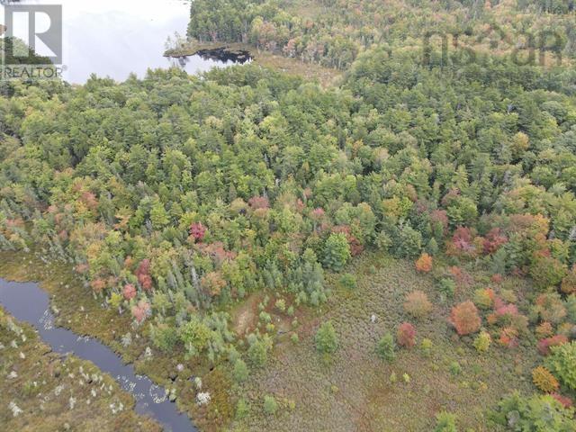 Vacant Land Canada Hill Road, Canada Hill, Nova Scotia  B0T 1L0 - Photo 14 - 202507306