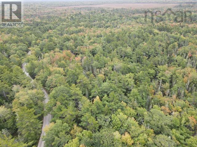 Vacant Land Canada Hill Road, Canada Hill, Nova Scotia  B0T 1L0 - Photo 7 - 202507306