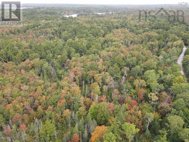 Vacant Land Canada Hill Road, Canada Hill, Nova Scotia  B0T 1L0 - Photo 4 - 202507306