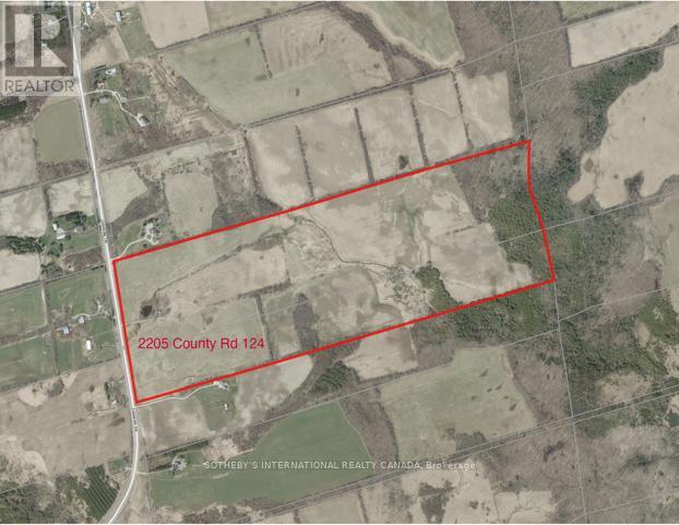 2205 County 124, Clearview, Ontario L0M 1H0 - Photo 2 - S12509268