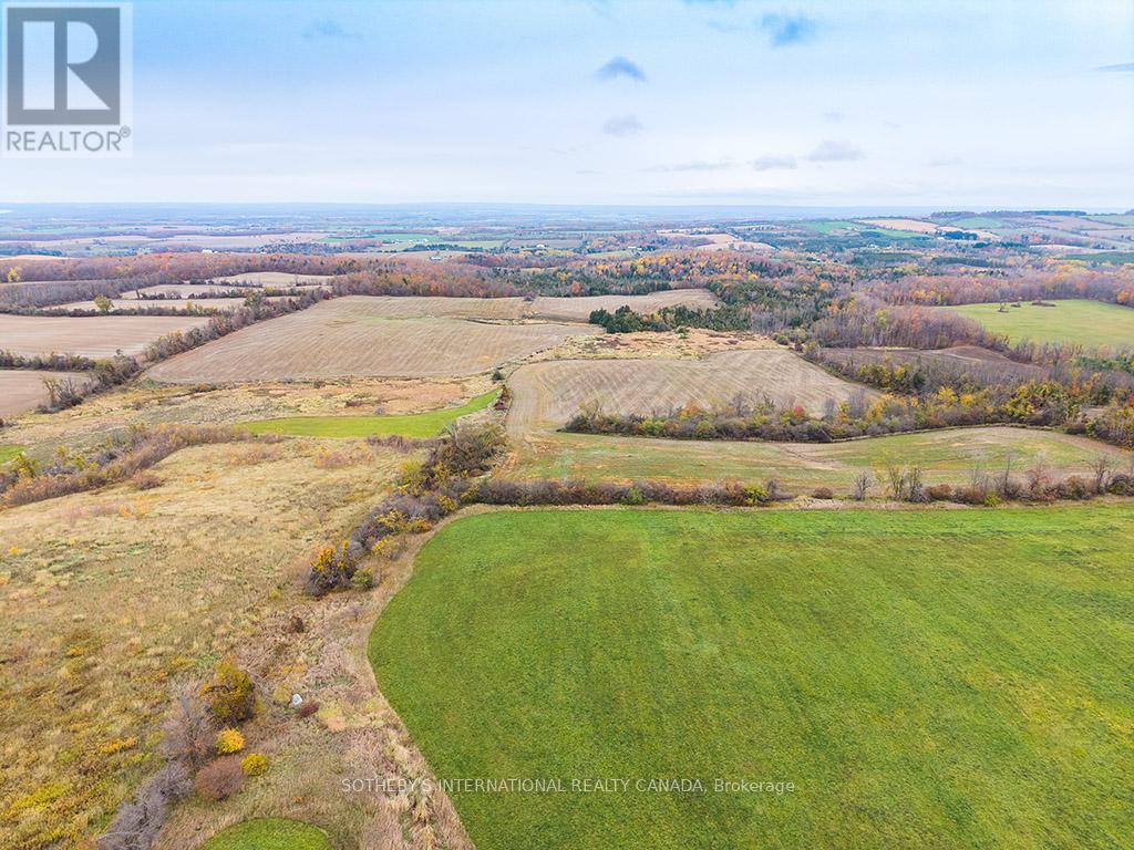 2205 County Road 124, Clearview, Ontario  L0M 1H0 - Photo 8 - S12509286