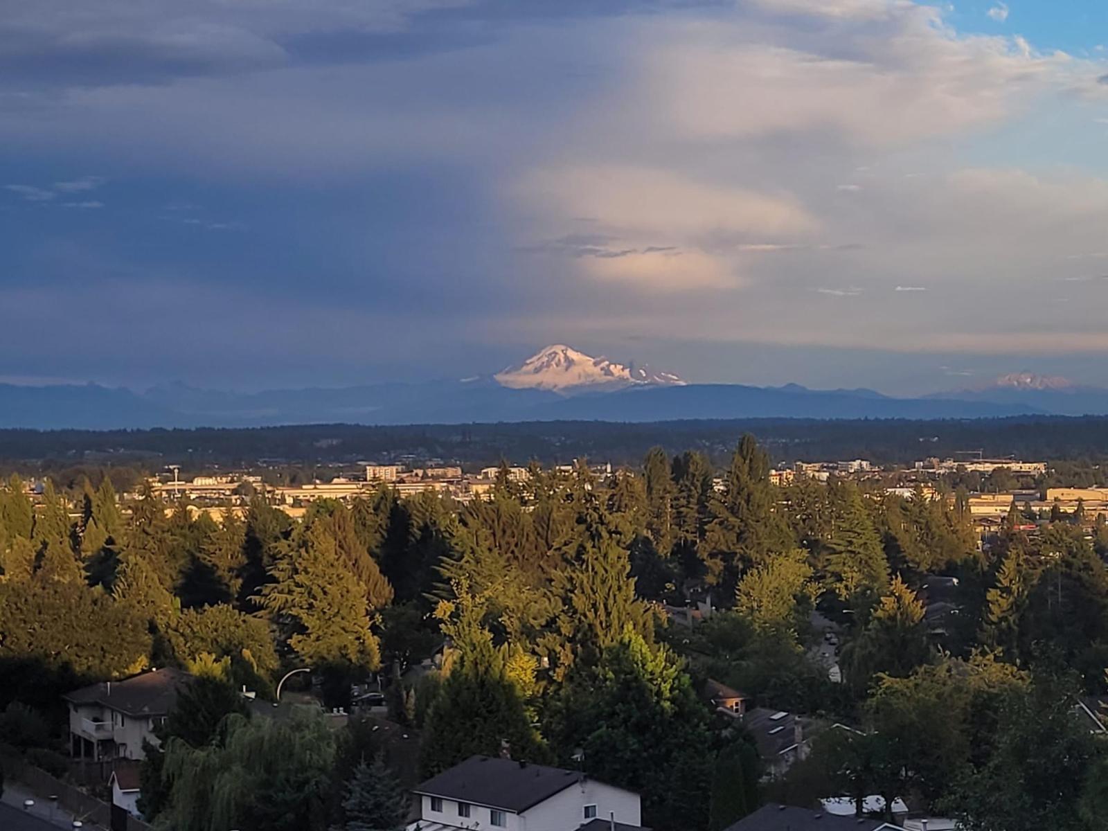 503 19228 64 Avenue, Surrey, British Columbia  V3S 7C9 - Photo 28 - R3058379