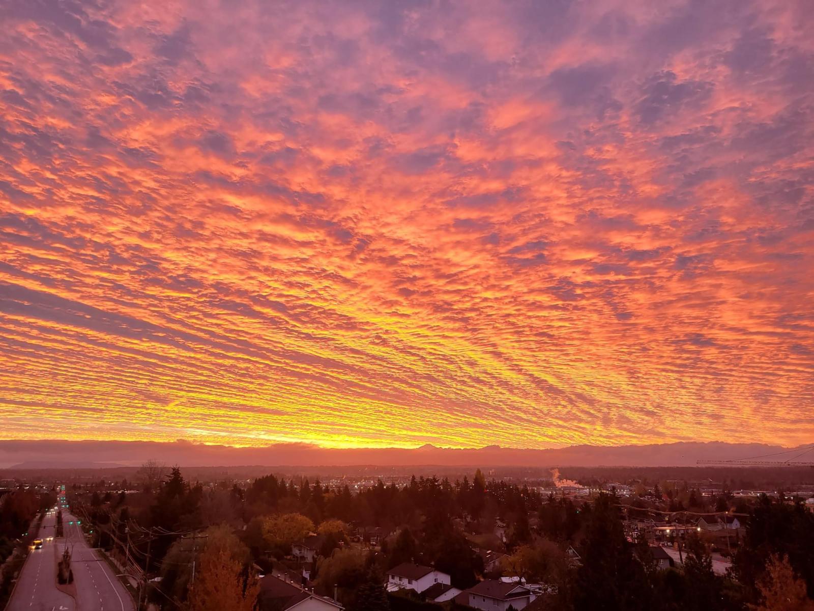 503 19228 64 Avenue, Surrey, British Columbia  V3S 7C9 - Photo 30 - R3058379