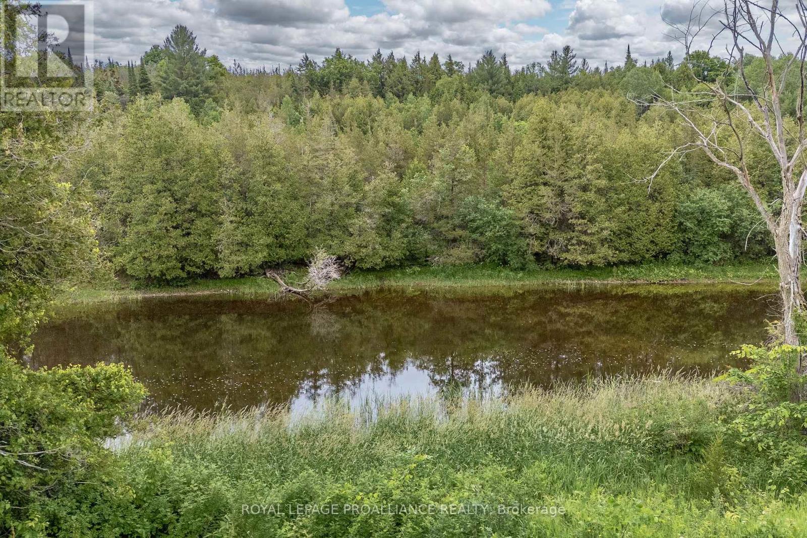 5035 Blessington Road, Tyendinaga (Tyendinaga Township), Ontario  K0K 2N0 - Photo 16 - X12509568