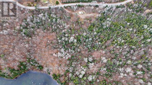 154 Little Ireland Road, Lyndoch And Raglan, Ontario  K0L 2M0 - Photo 10 - X12509678