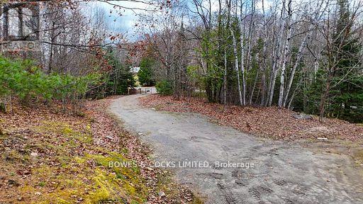 154 Little Ireland Road, Lyndoch And Raglan, Ontario  K0L 2M0 - Photo 16 - X12509678