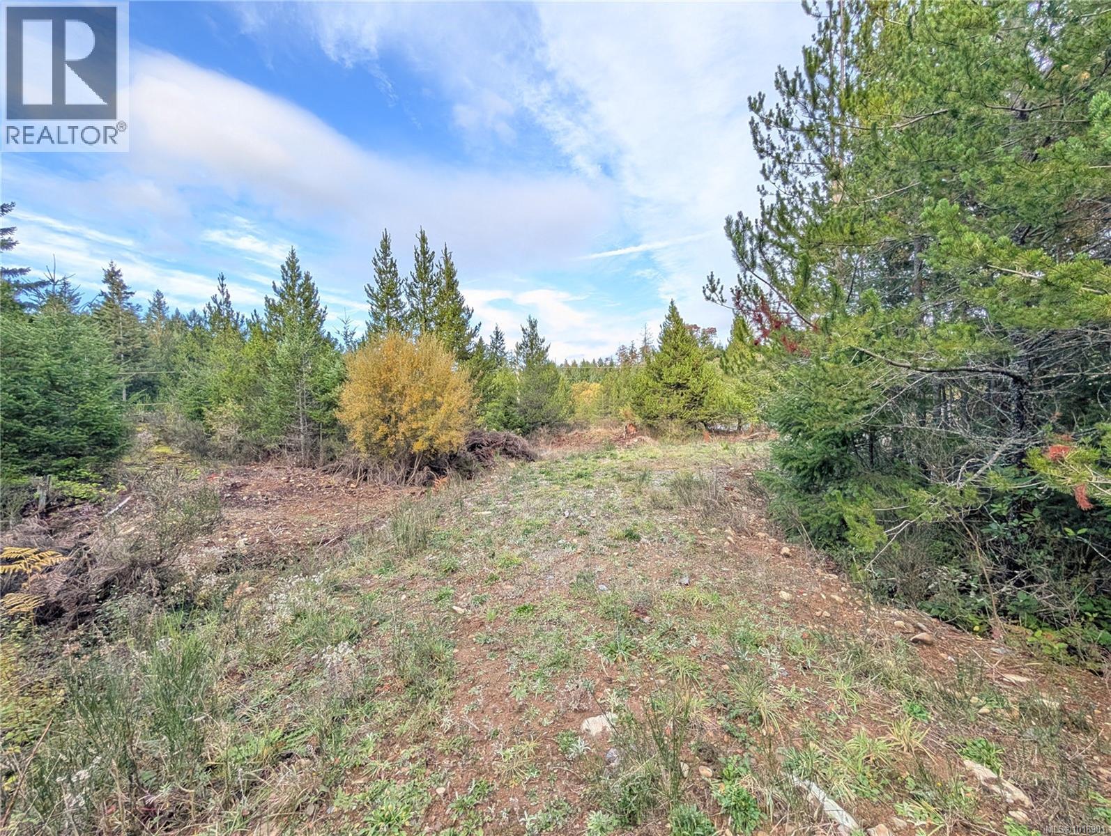 Lot 30 Eagle Dr, Shawnigan Lake, British Columbia V8H 2J1 - Photo 11 - 1018901