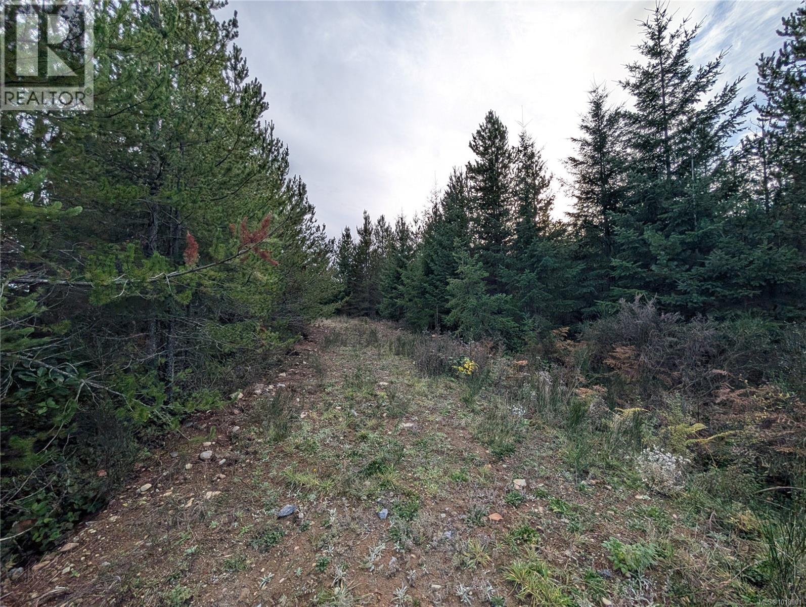 Lot 30 Eagle Dr, Shawnigan Lake, British Columbia V8H 2J1 - Photo 7 - 1018901