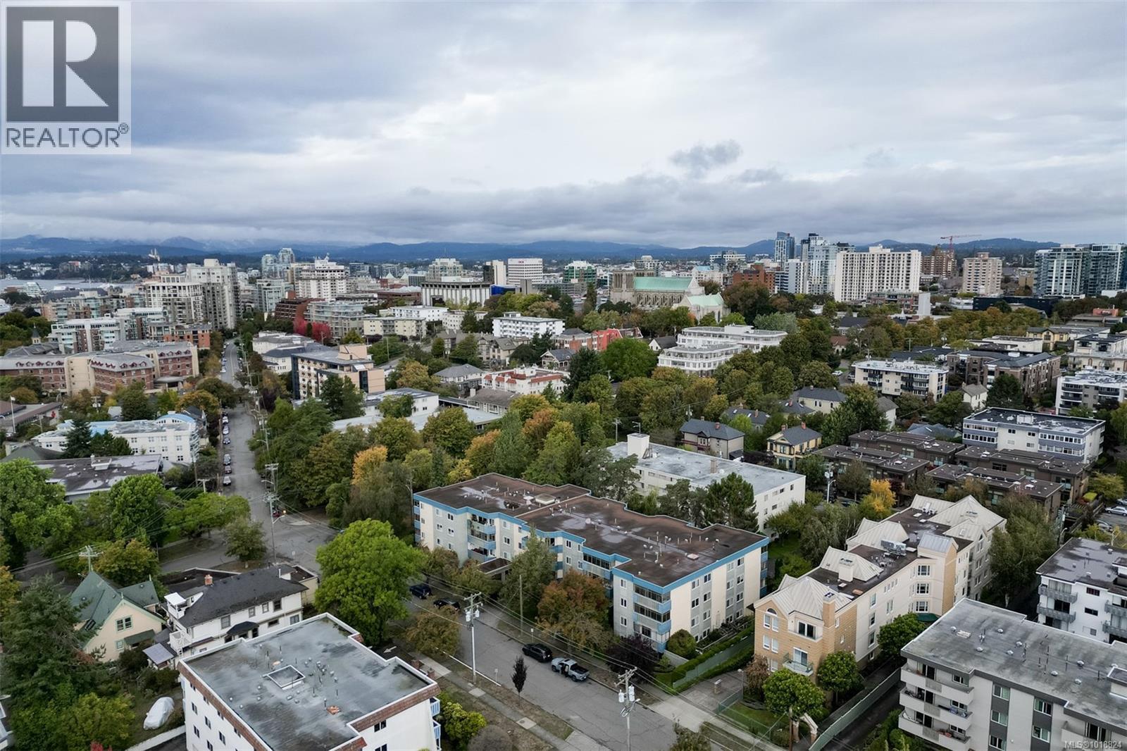 307 1012 Collinson St, Victoria, British Columbia  V8V 3C1 - Photo 2 - 1018824
