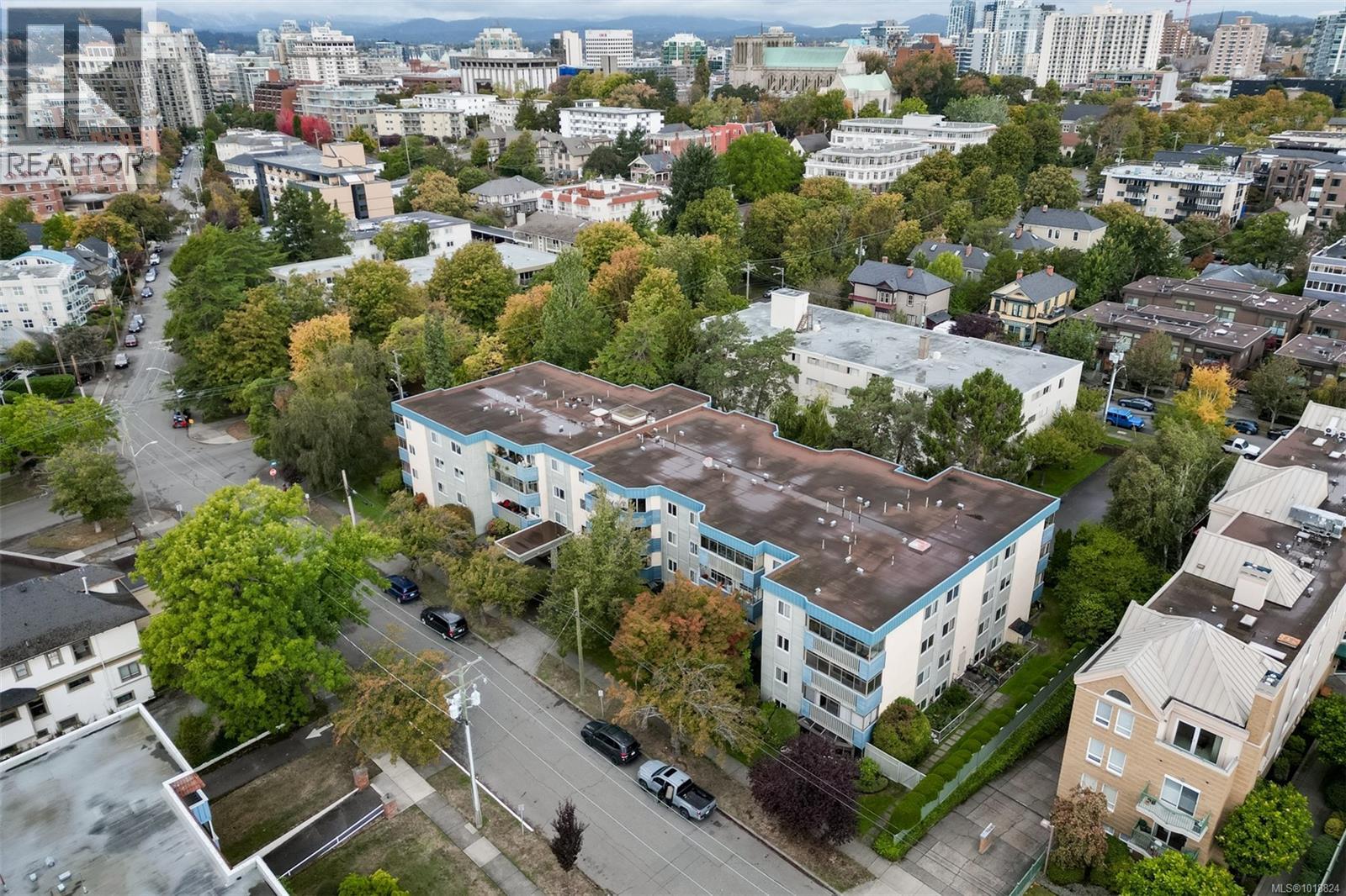 307 1012 Collinson St, Victoria, British Columbia  V8V 3C1 - Photo 31 - 1018824