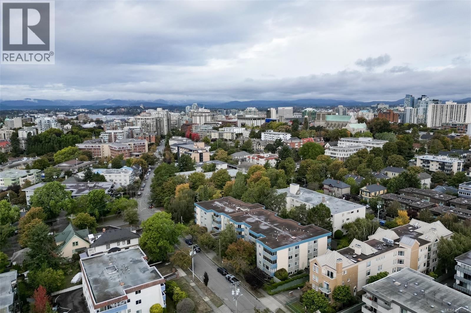 307 1012 Collinson St, Victoria, British Columbia  V8V 3C1 - Photo 32 - 1018824