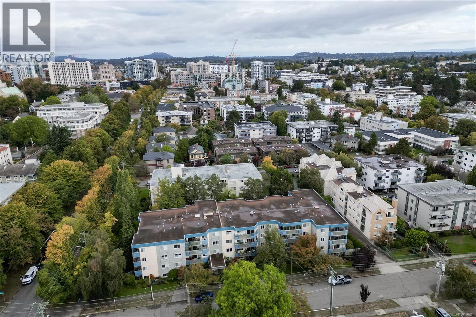 307 1012 Collinson St, Victoria, British Columbia  V8V 3C1 - Photo 33 - 1018824