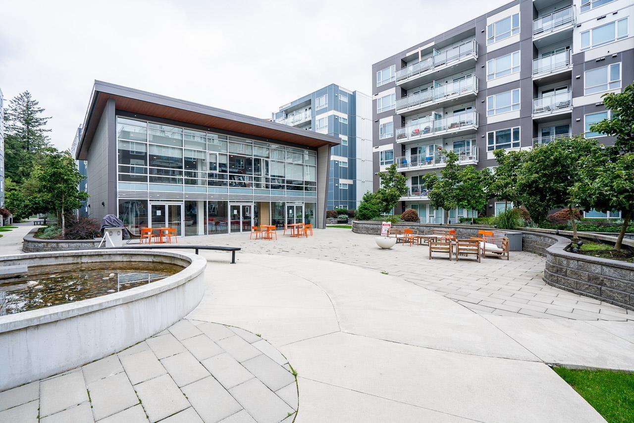 421 13963 105 Boulevard, Surrey, British Columbia  V3T 0M9 - Photo 31 - R3063855